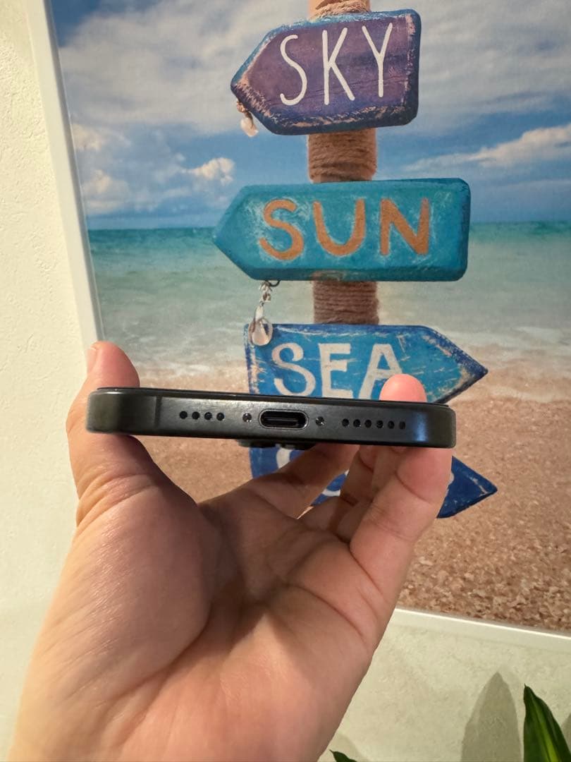 iPhone 16 Pro Max 256GB USA版