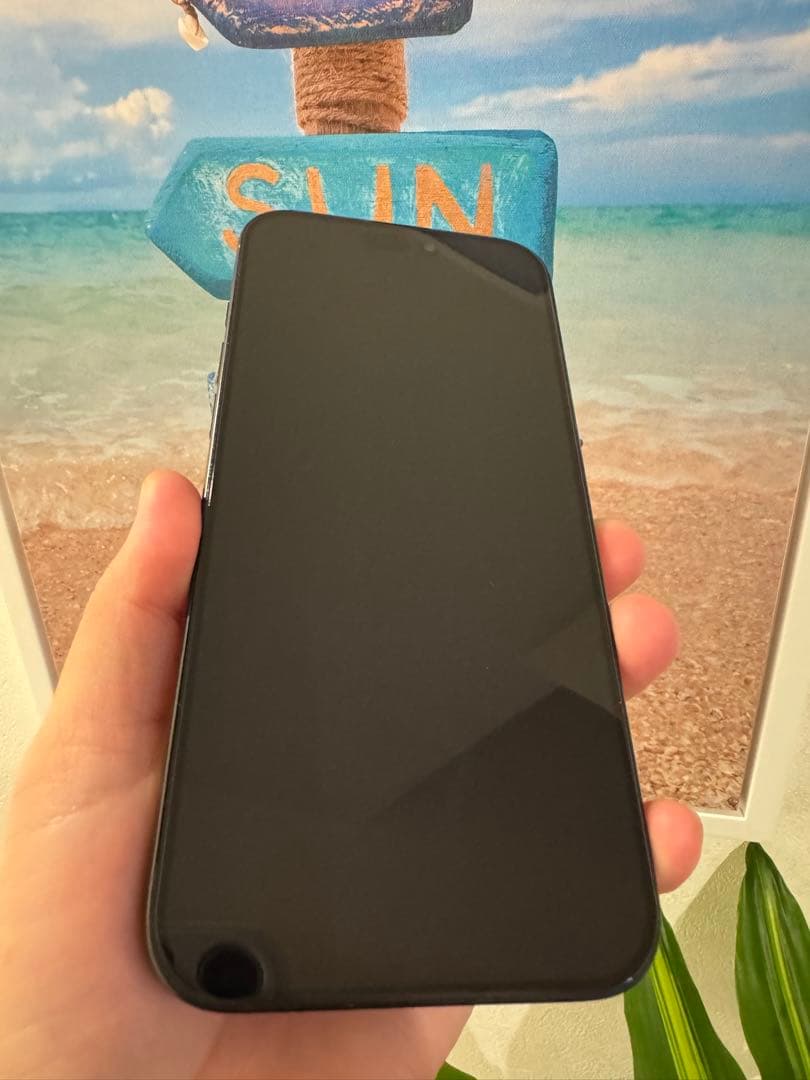 iPhone 16 Pro Max 256GB USA版