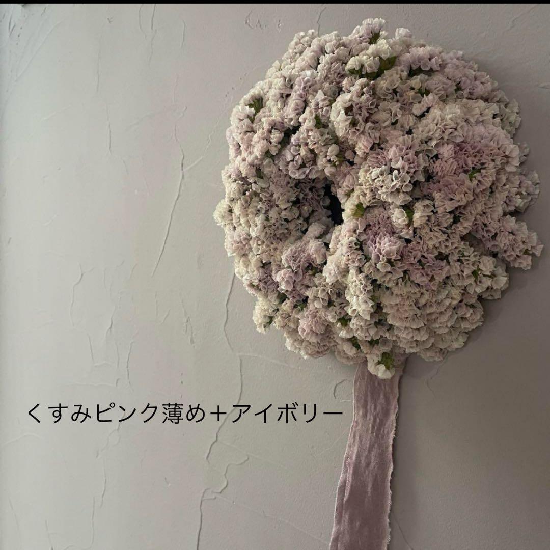 スターチス色味参考画像