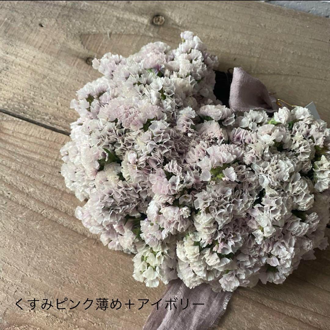 スターチス色味参考画像