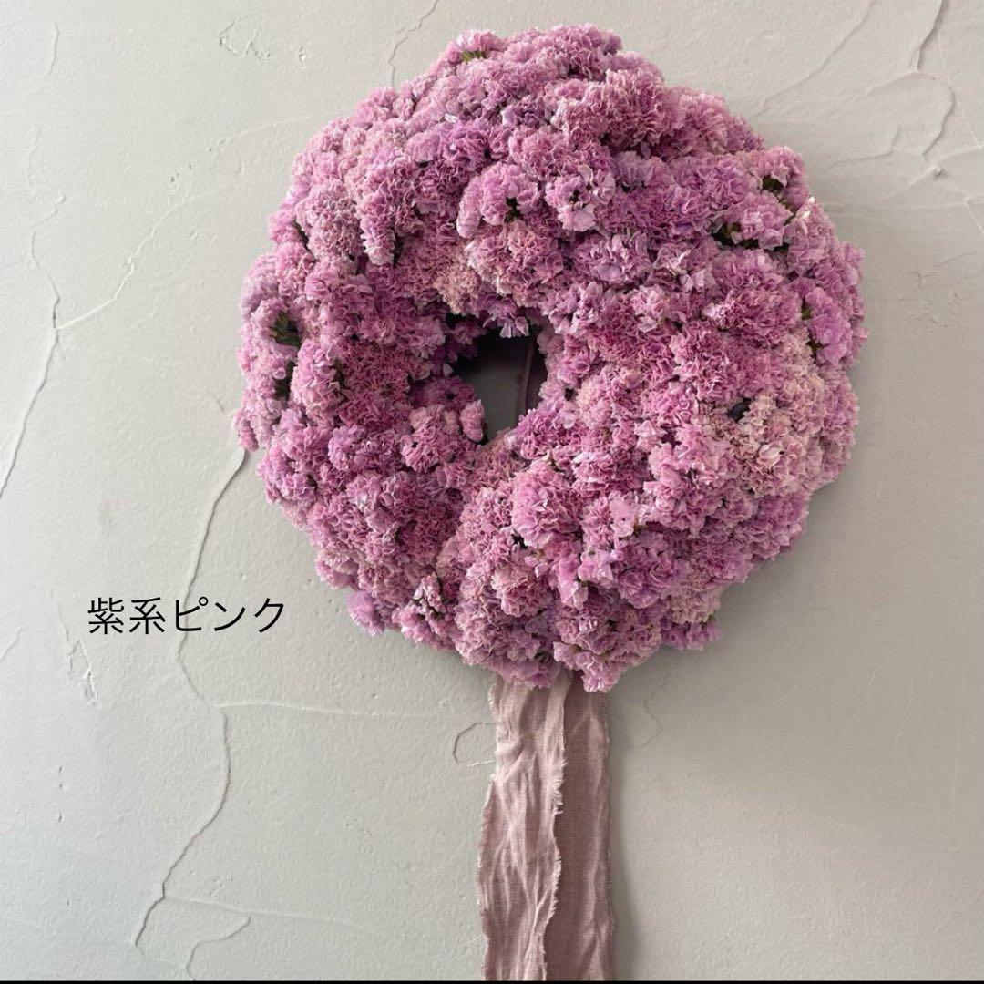 スターチス色味参考画像