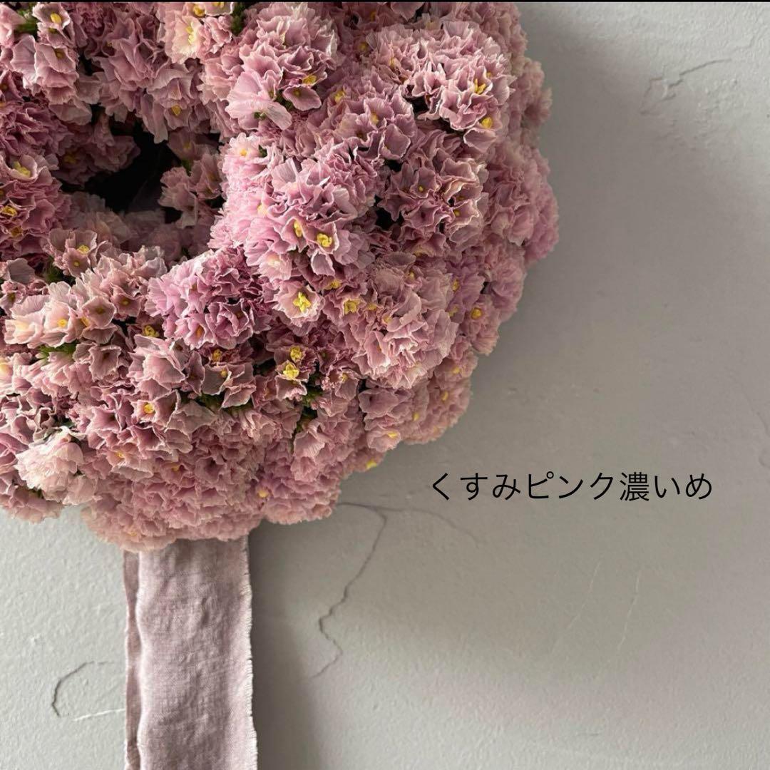 スターチス色味参考画像