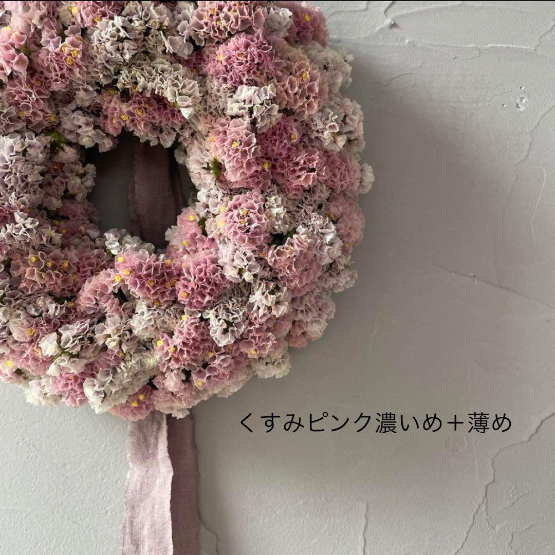 スターチス色味参考画像