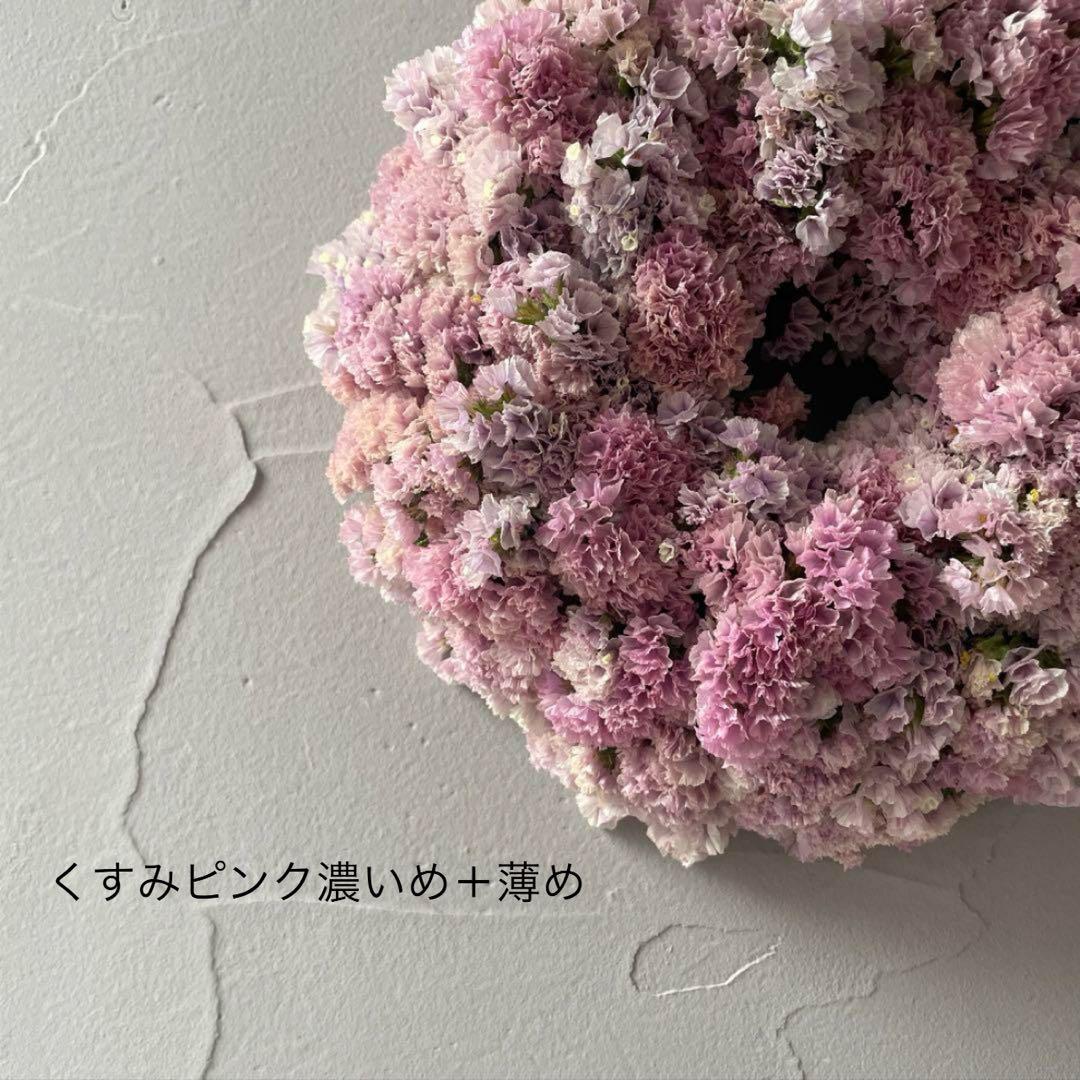 スターチス色味参考画像