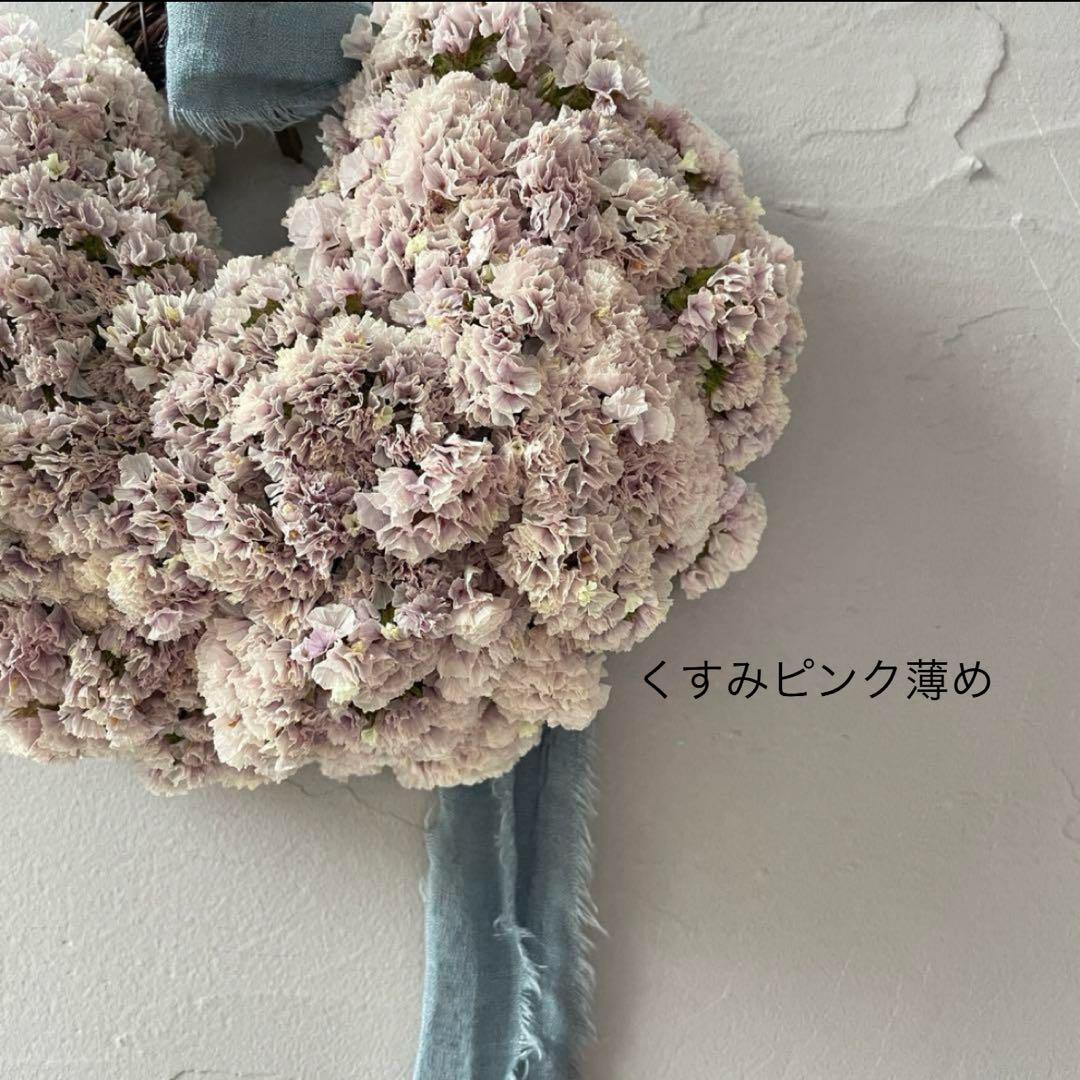 スターチス色味参考画像