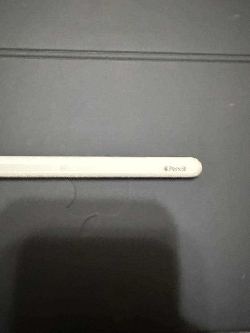 Apple Pencil 第二世代 A2051 本体のみ