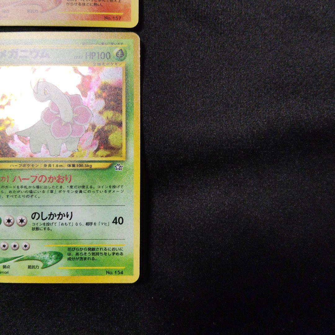 旧裏 プレミアムファイル オーダイル バクフーン メガニウム セット