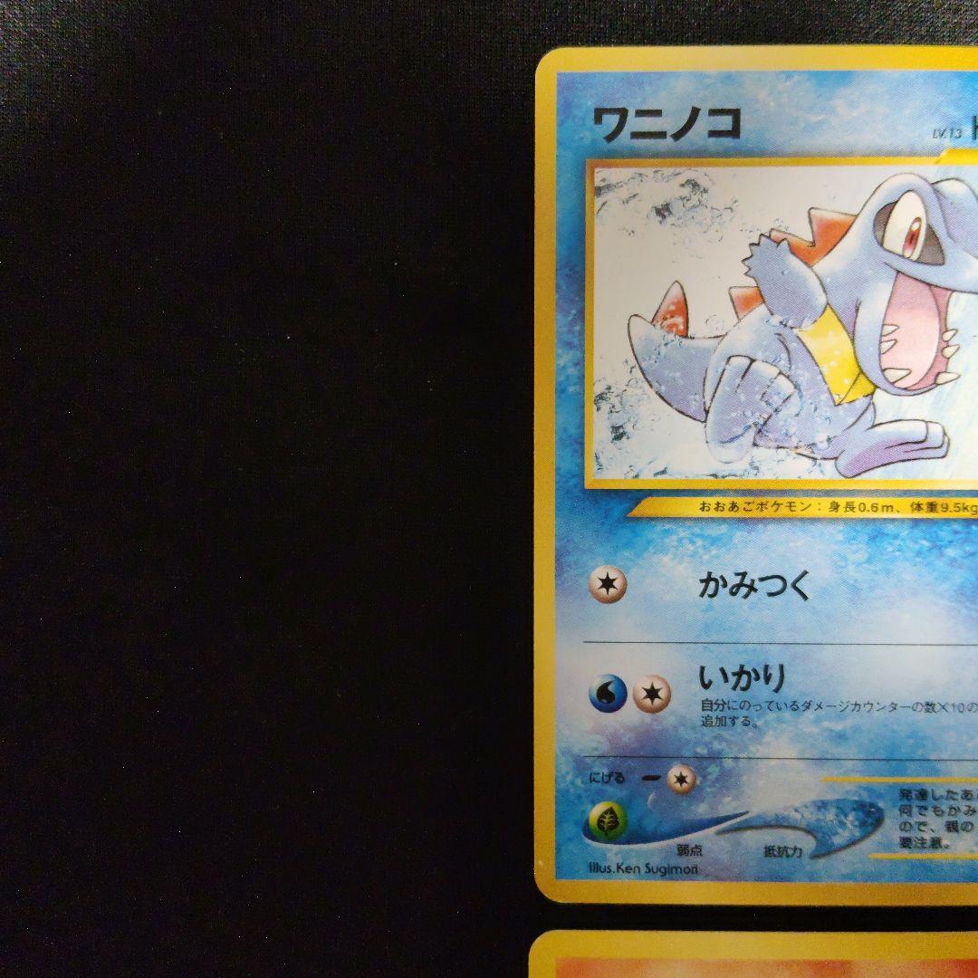 旧裏 プレミアムファイル オーダイル バクフーン メガニウム セット