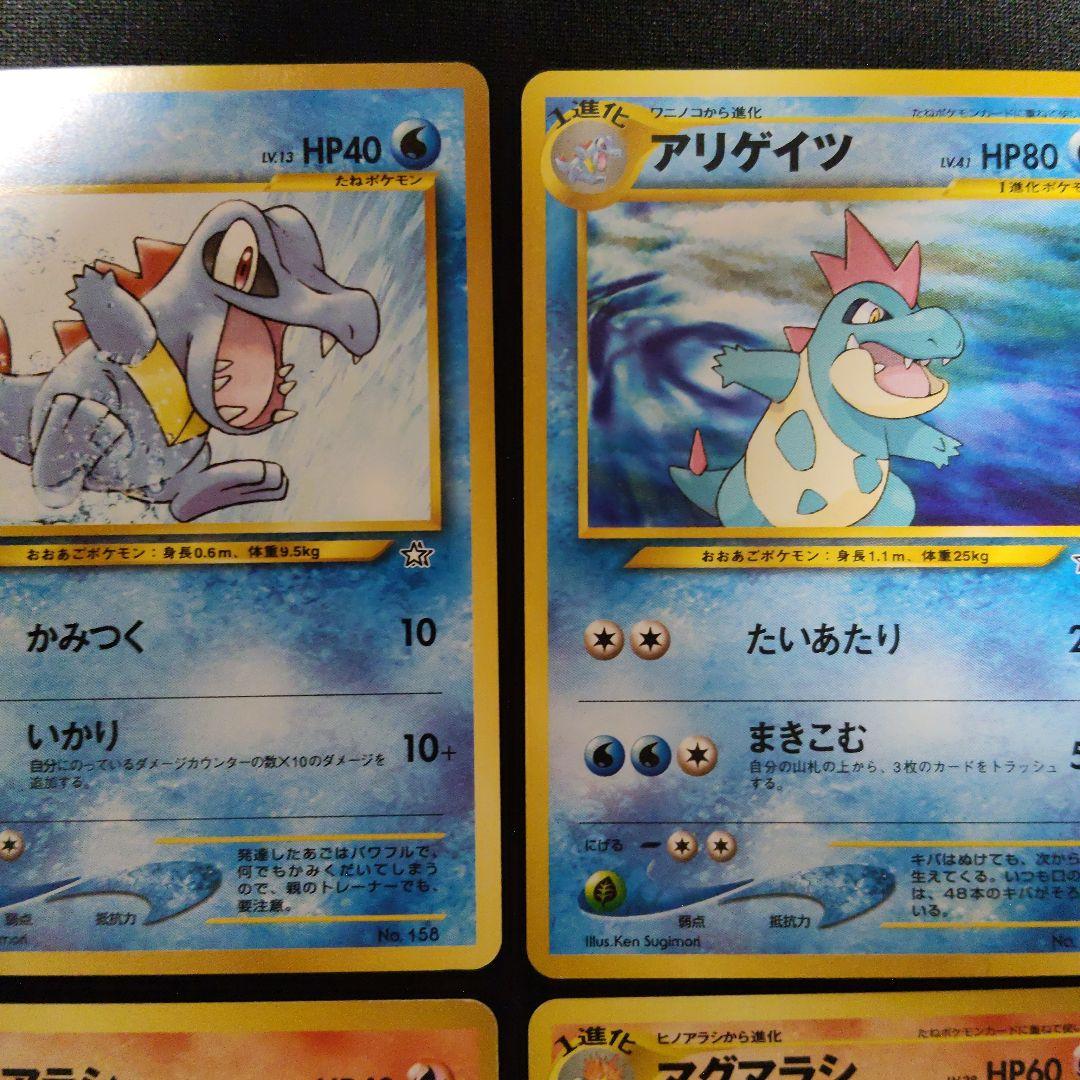 旧裏 プレミアムファイル オーダイル バクフーン メガニウム セット