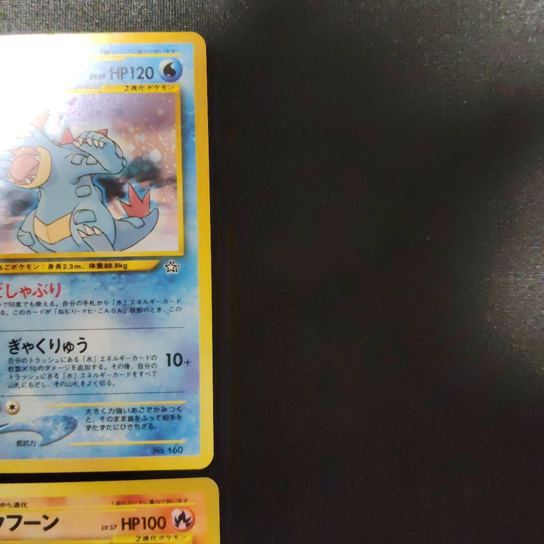 旧裏 プレミアムファイル オーダイル バクフーン メガニウム セット