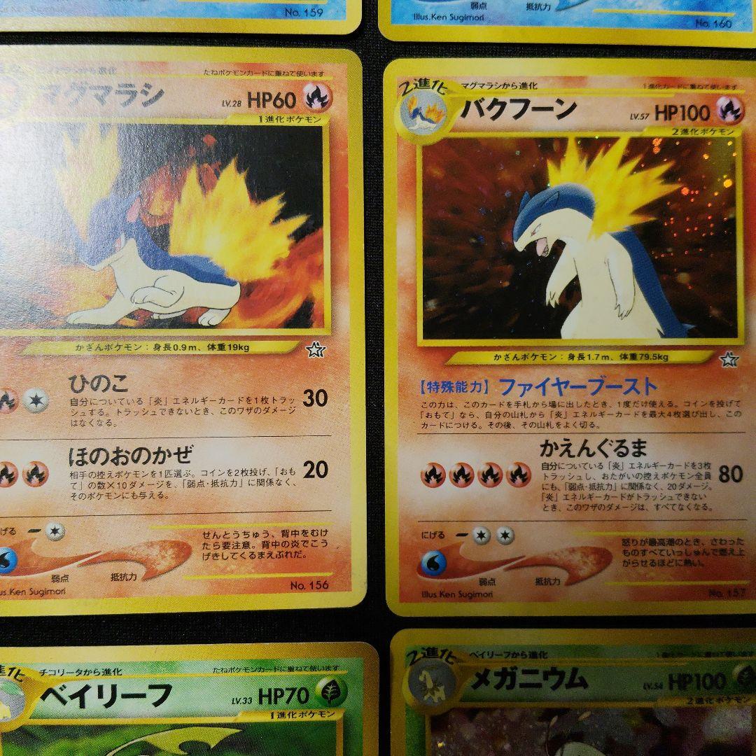 旧裏 プレミアムファイル オーダイル バクフーン メガニウム セット