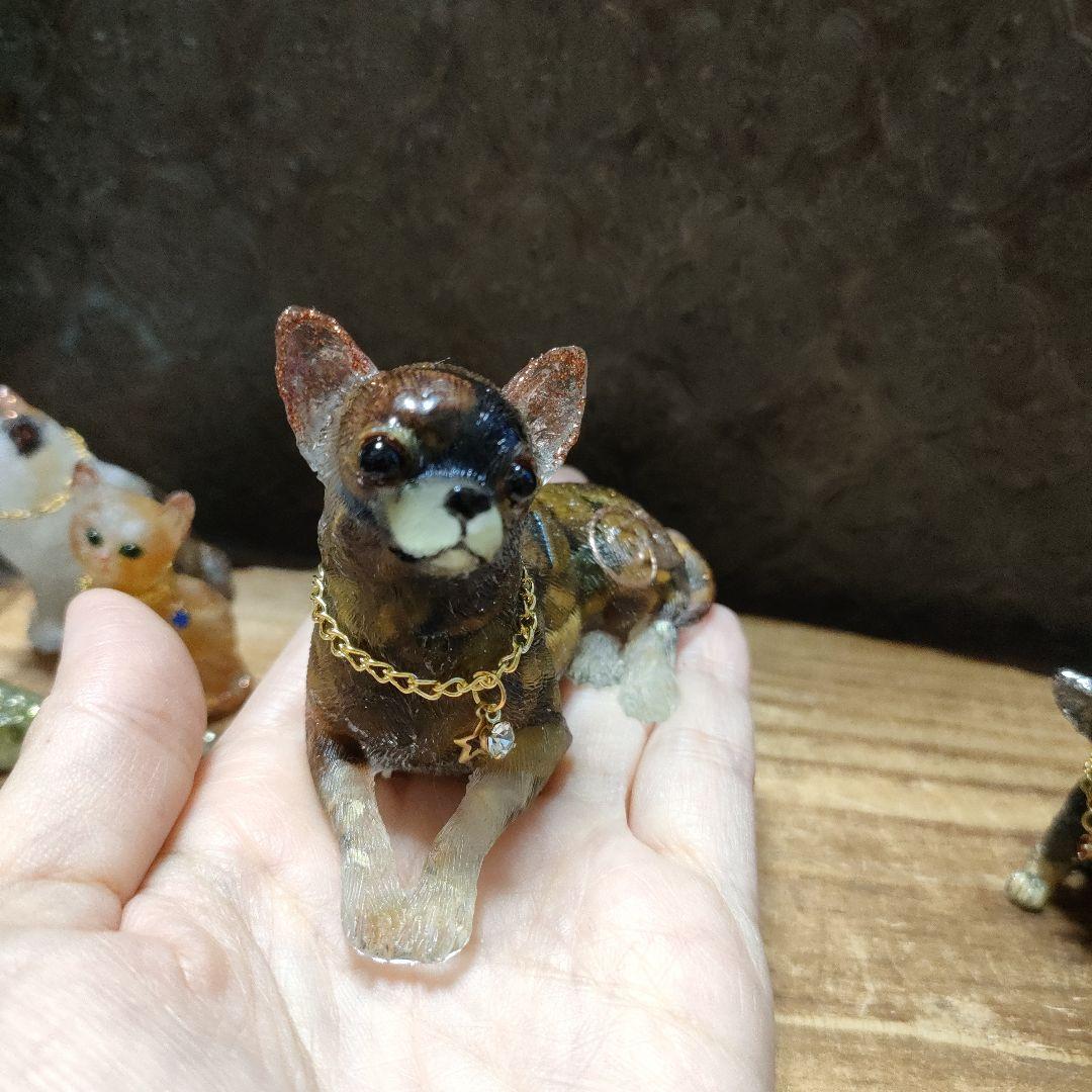 ☆tama✳︎☆オルゴナイト☆猫、セキセイインコ、チワワ☆