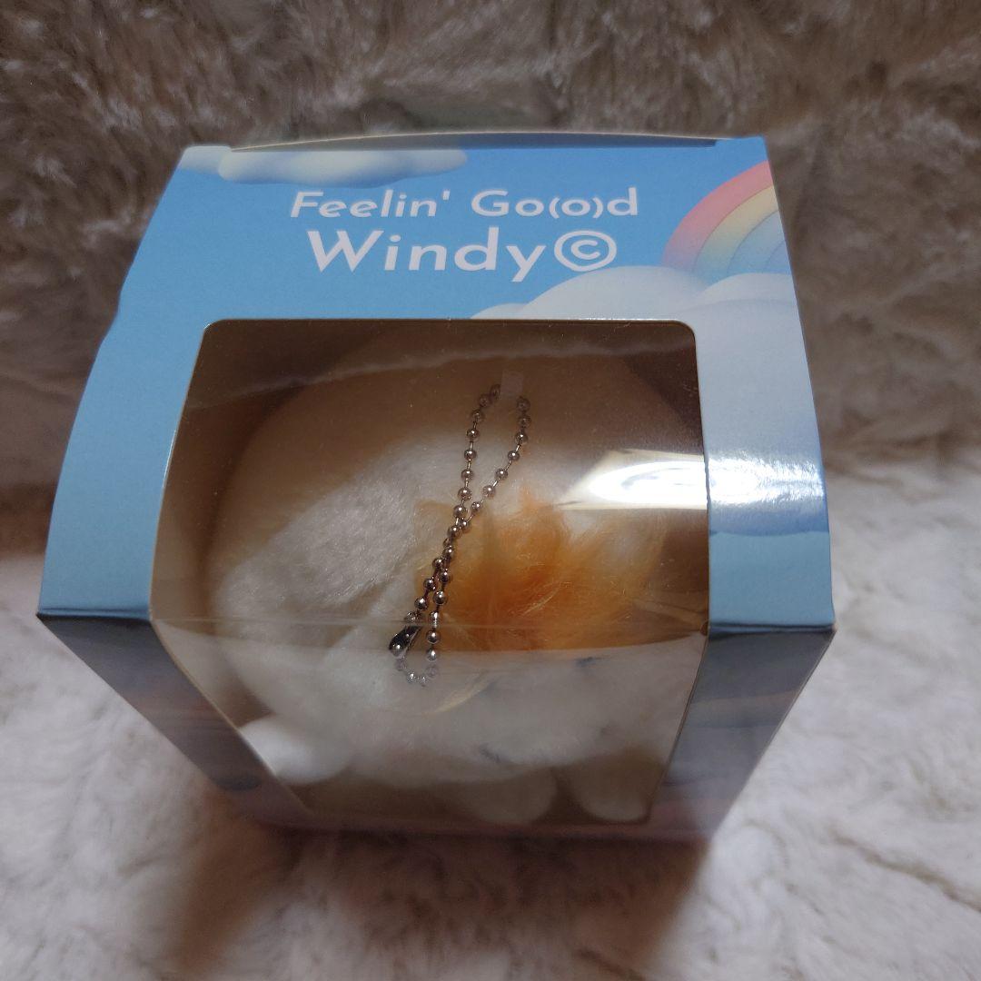 Windyちゃん 藤井風