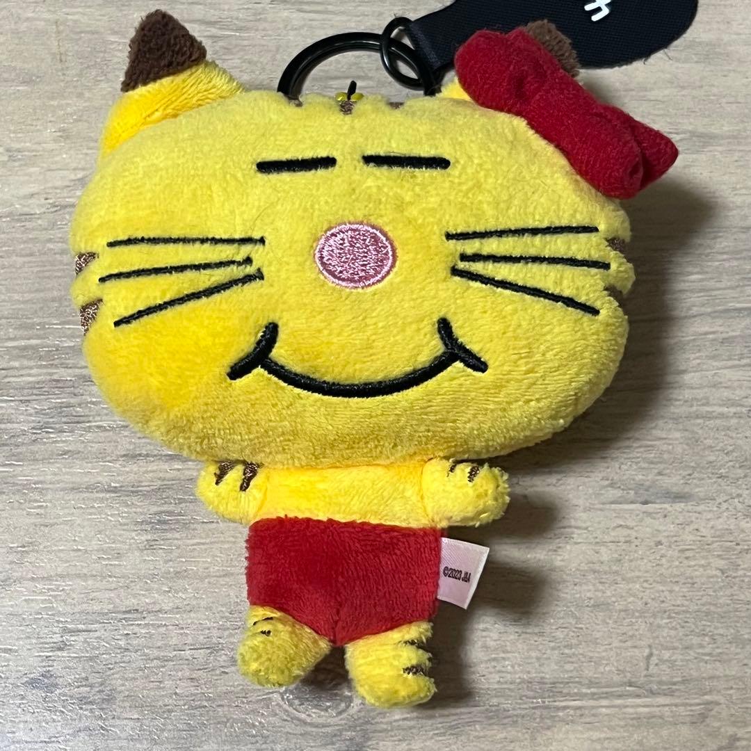 NEWS ネコます 増田貴久