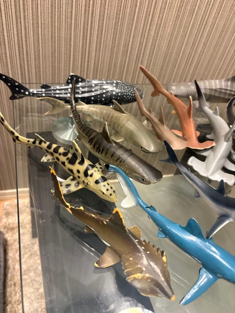 サメ　エイ　フィギュアセット‼️