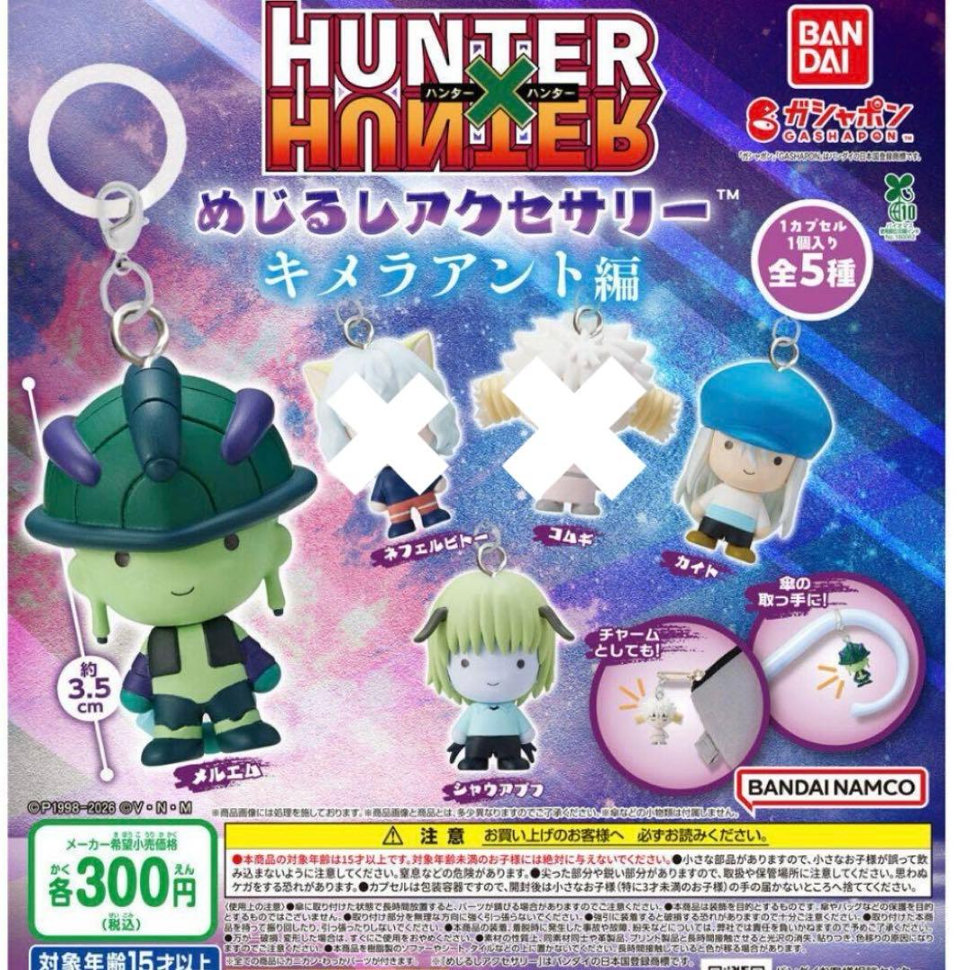 HUNTER×HUNTER めじるしアクセサリー 10点セット