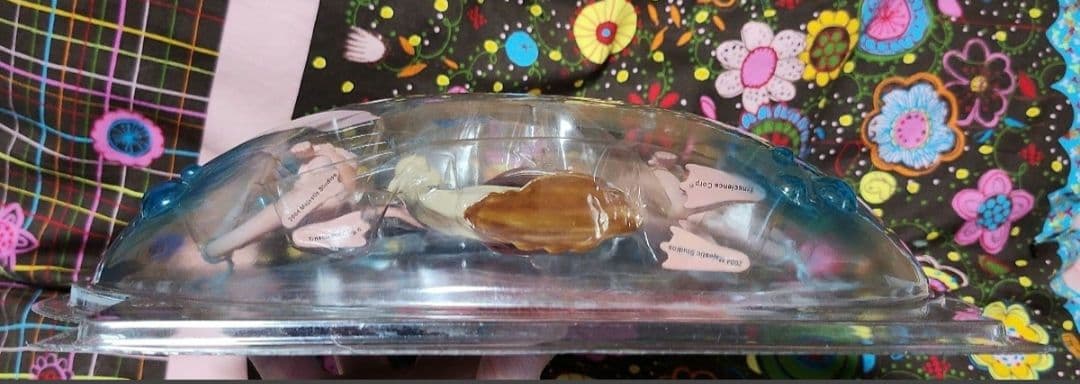 希少 美品 未開封 シーモンキーフィギュア Sea.Monkeys