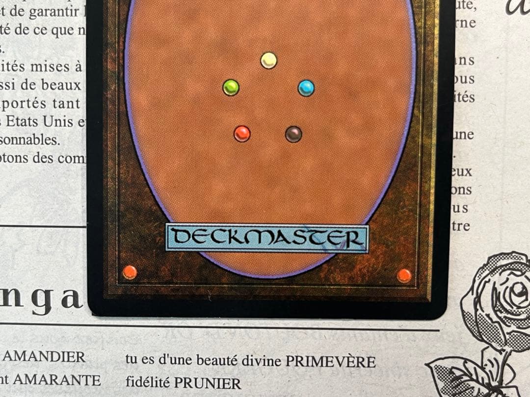 直観/ Intuition MTG 英語　MTG