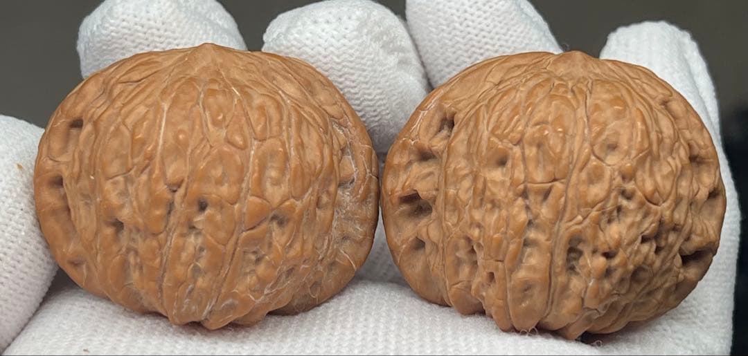 文玩堂：ドジョウ背 文玩クルミ（精品級）」