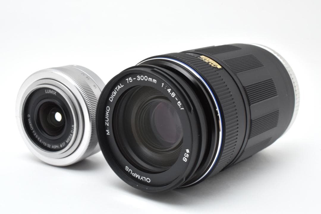 パナソニック　Panasonic LUMIX DC-GF9 ダブルレンズセット