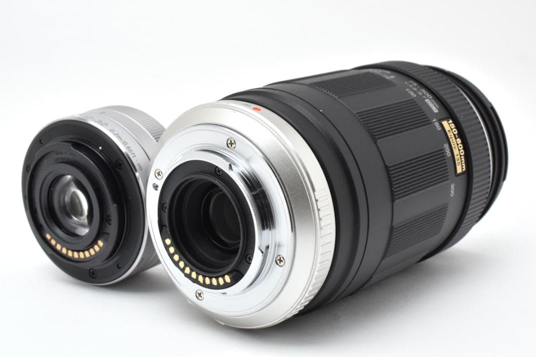 パナソニック　Panasonic LUMIX DC-GF9 ダブルレンズセット