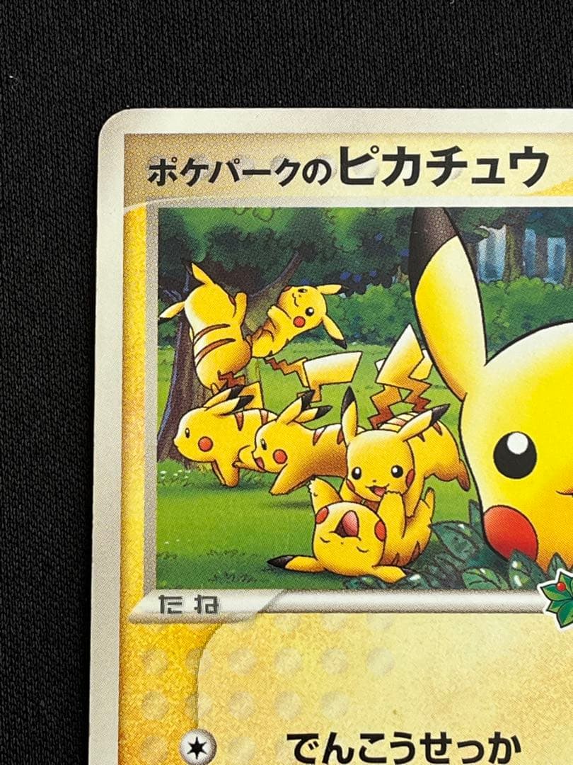 ポケパークのピカチュウ