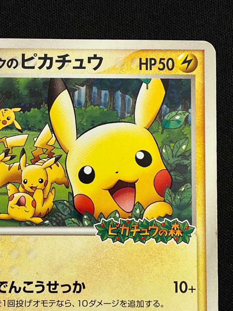 ポケパークのピカチュウ