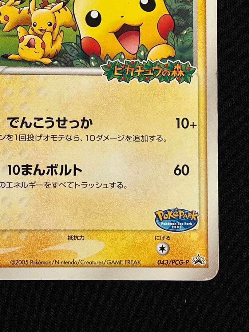 ポケパークのピカチュウ