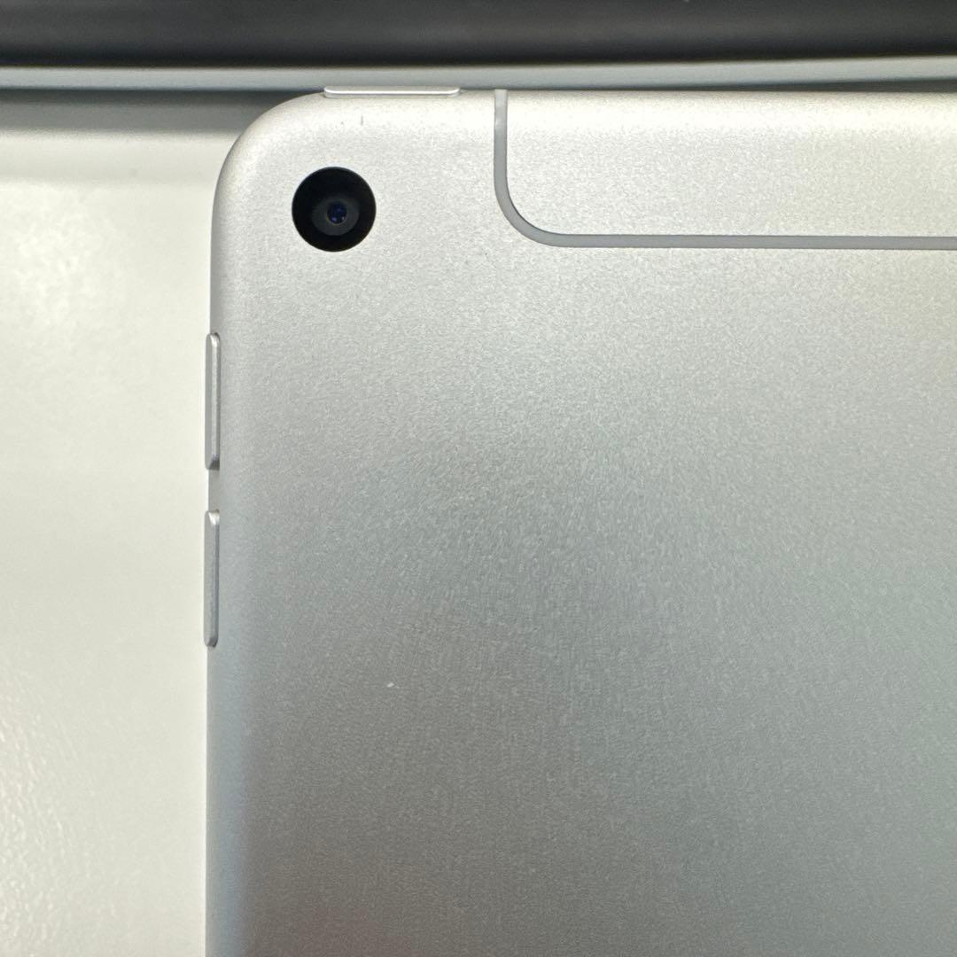 目立った傷や汚れなし｜iPad 第5世代 シルバー 容量256GB