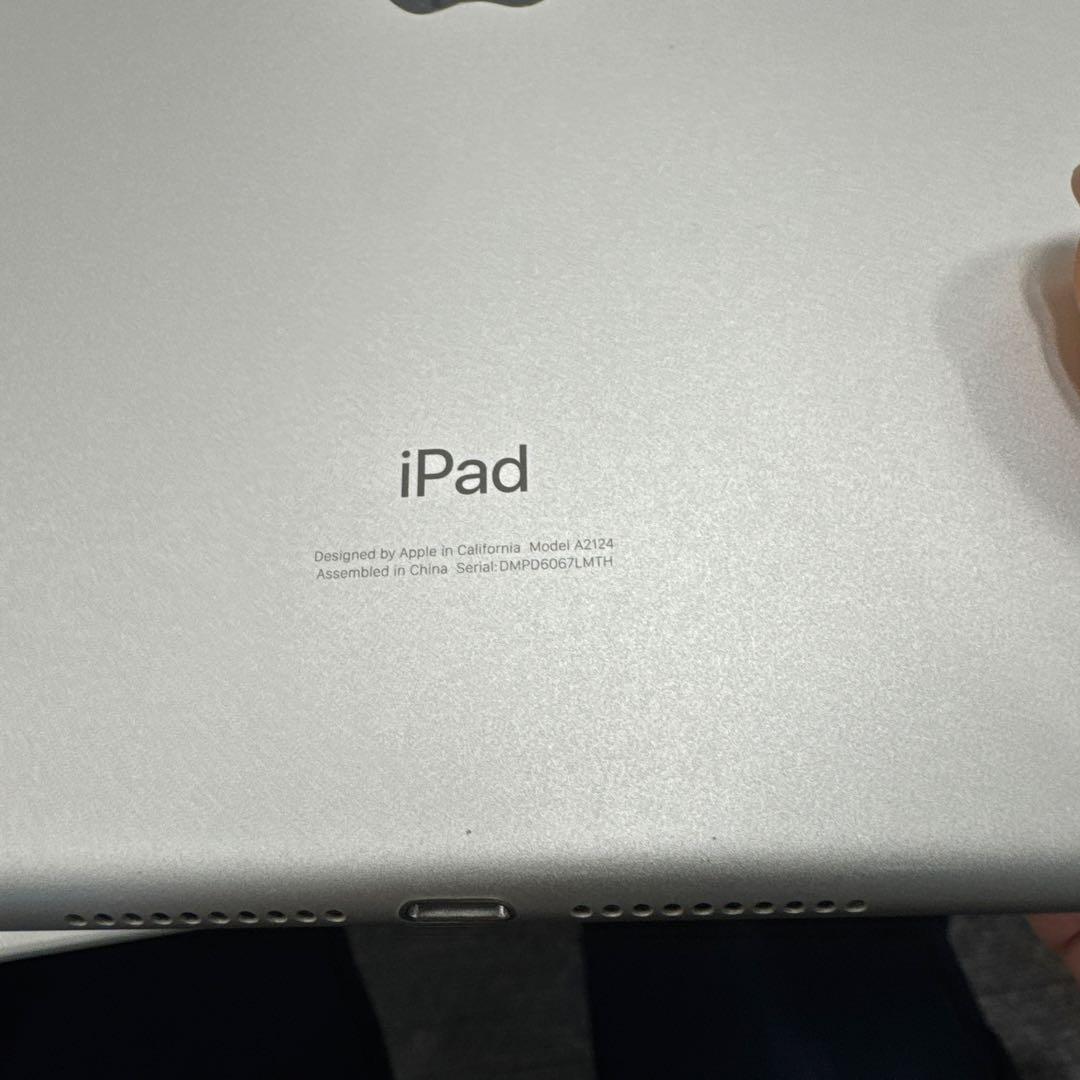 目立った傷や汚れなし｜iPad 第5世代 シルバー 容量256GB