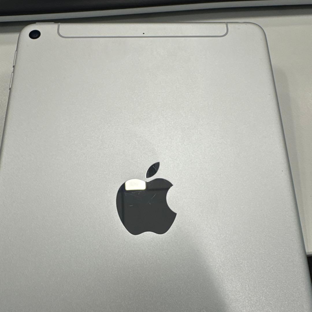 目立った傷や汚れなし｜iPad 第5世代 シルバー 容量256GB