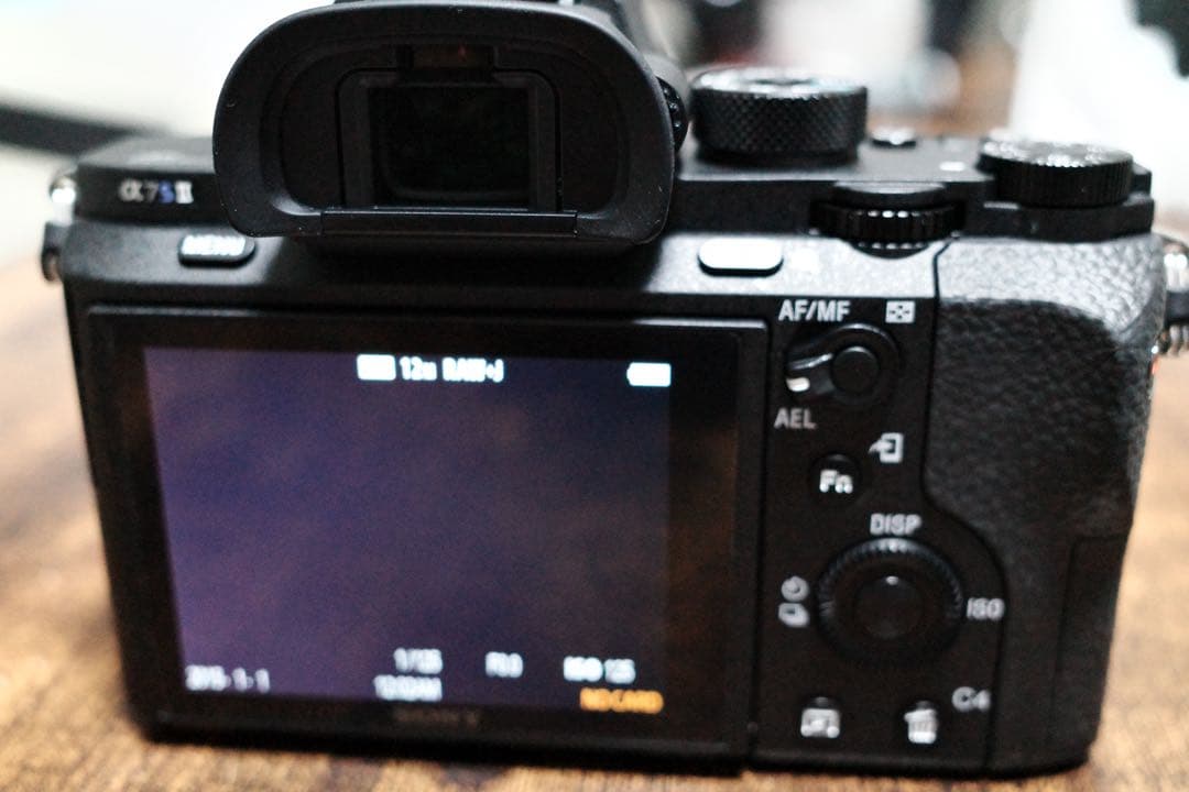 ジャンク Sony α7SM2 ボディ ILCE-7SM2 シャッター200枚台