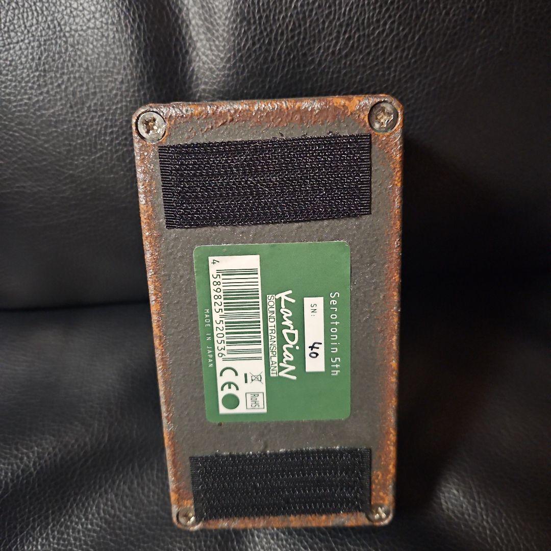 ギター KarDiaN Serotonin 5th