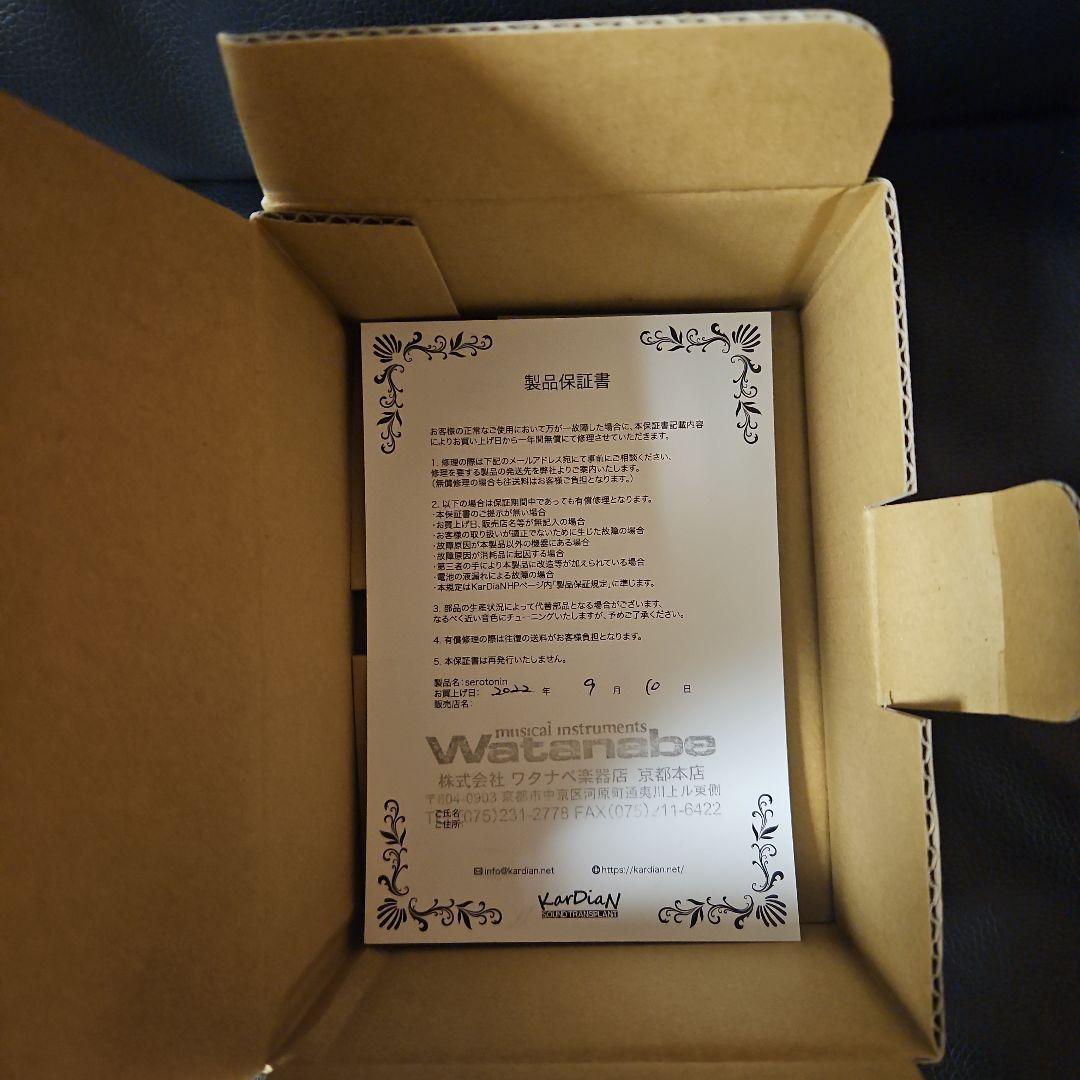 ギター KarDiaN Serotonin 5th