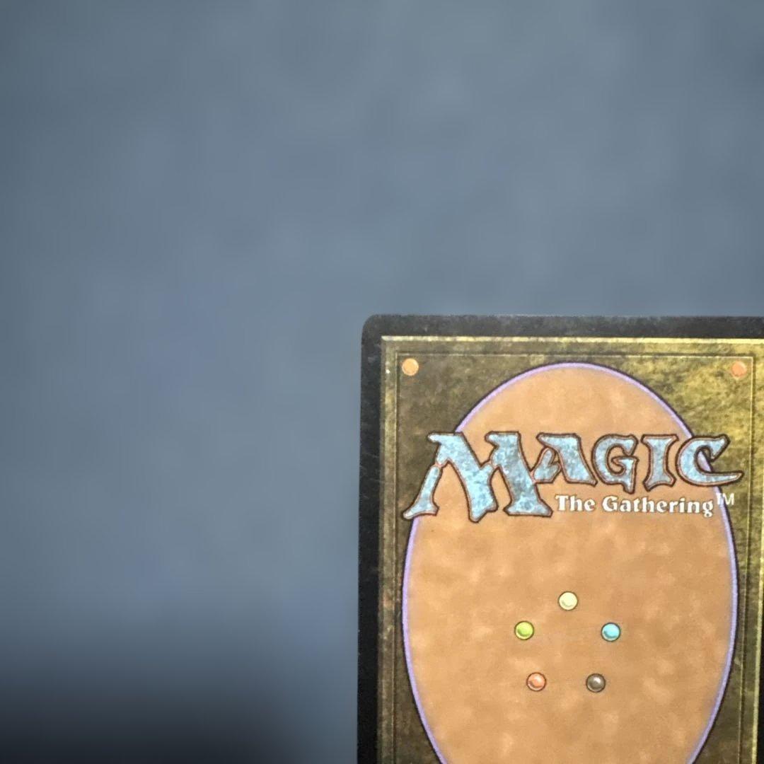 MTG シヴの浅瀬 日本語版4枚セット