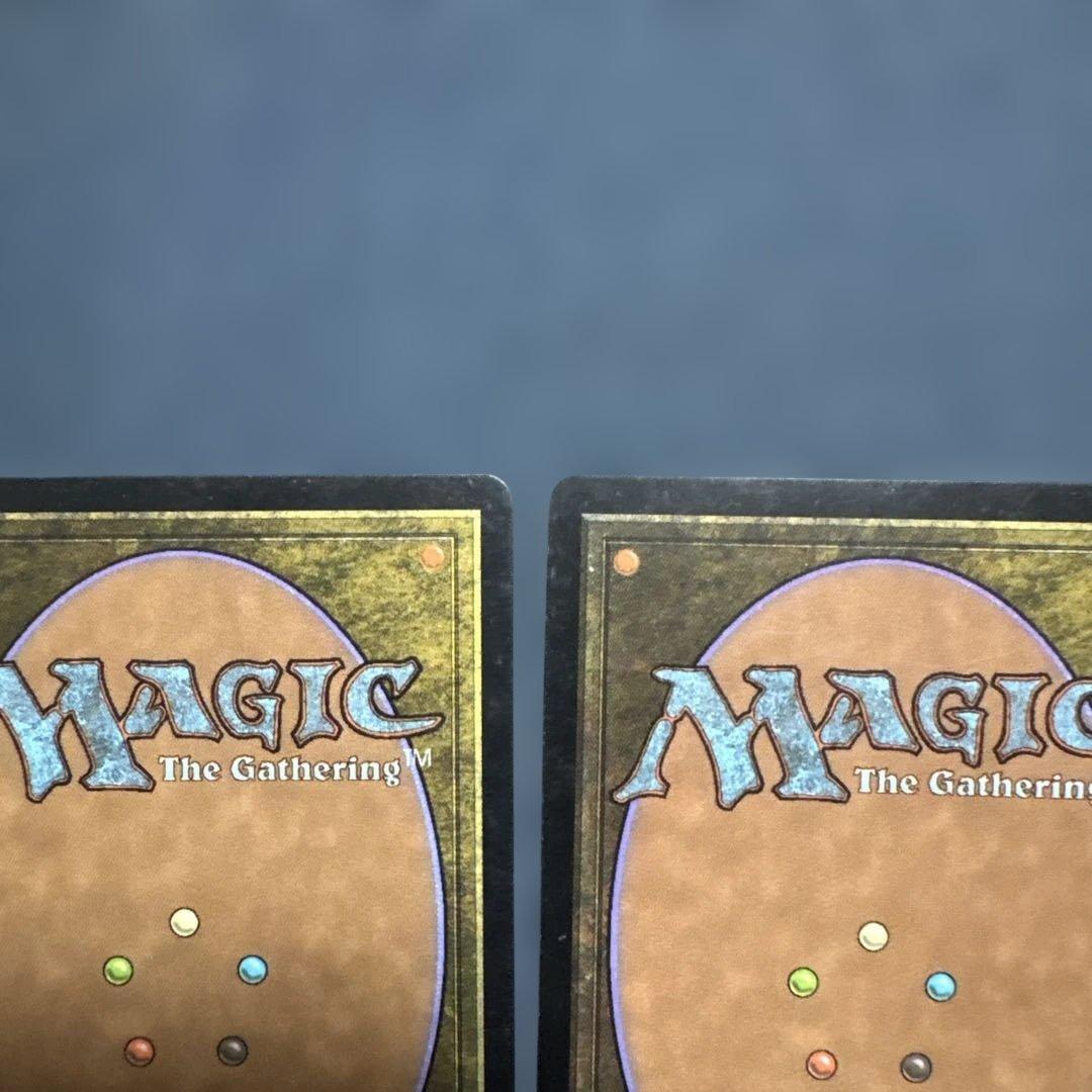 MTG シヴの浅瀬 日本語版4枚セット