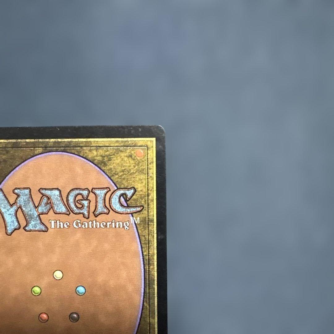 MTG シヴの浅瀬 日本語版4枚セット