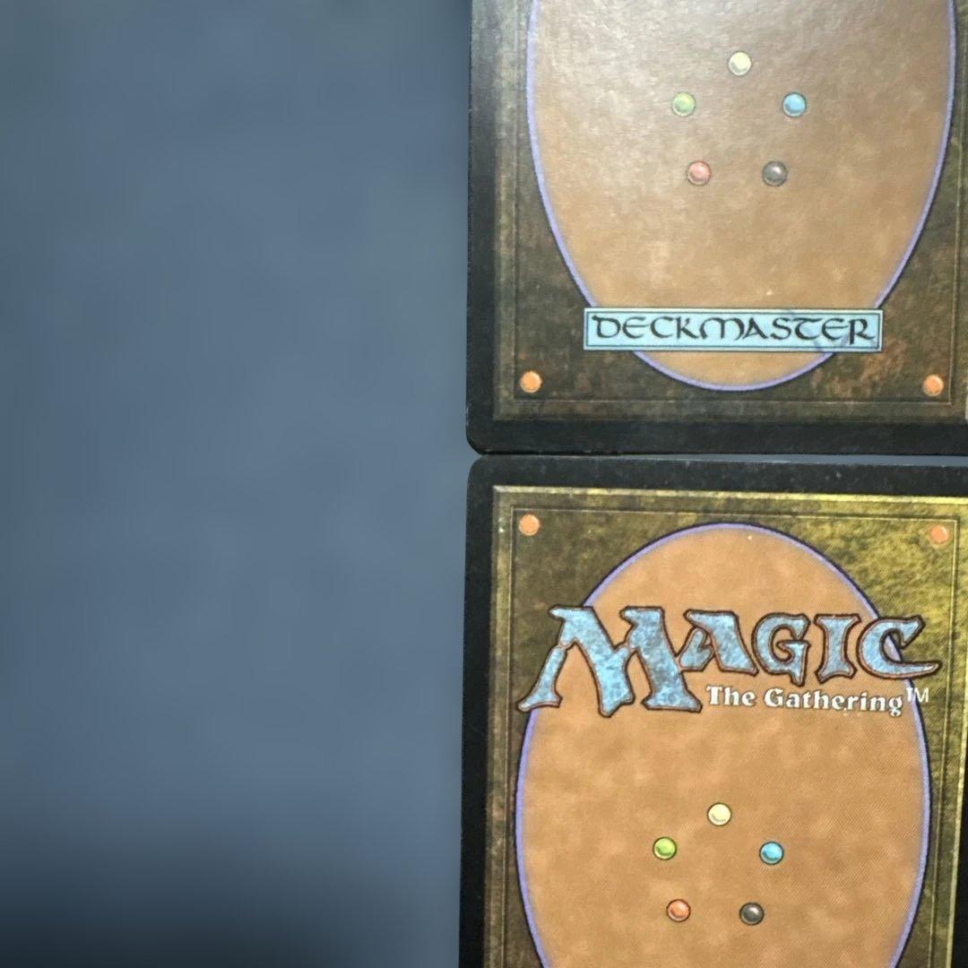 MTG シヴの浅瀬 日本語版4枚セット