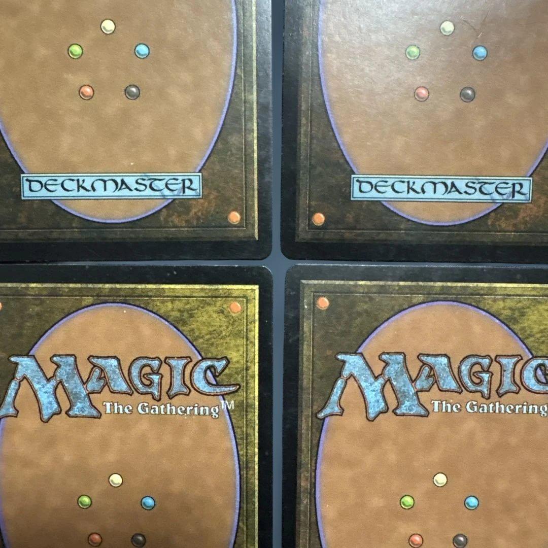 MTG シヴの浅瀬 日本語版4枚セット