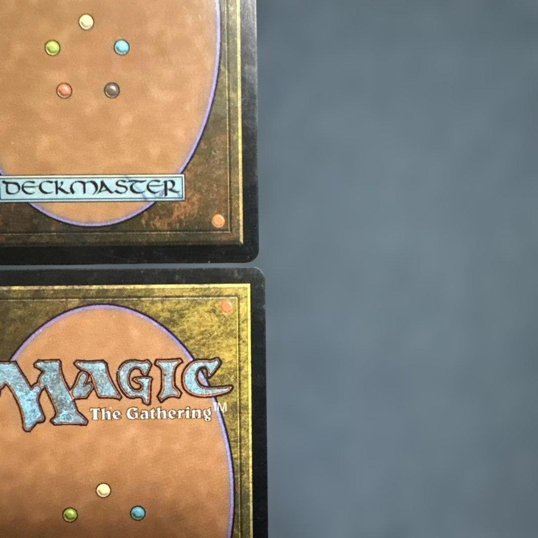 MTG シヴの浅瀬 日本語版4枚セット