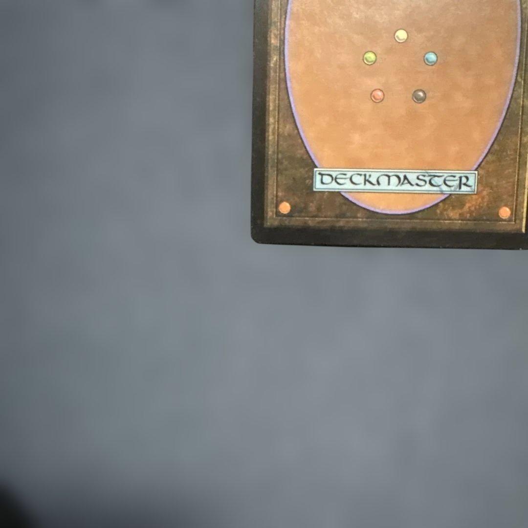 MTG シヴの浅瀬 日本語版4枚セット