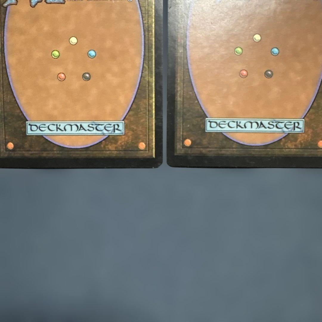 MTG シヴの浅瀬 日本語版4枚セット