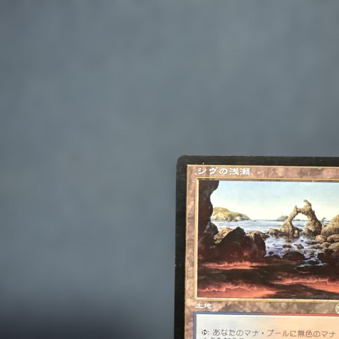 MTG シヴの浅瀬 日本語版4枚セット