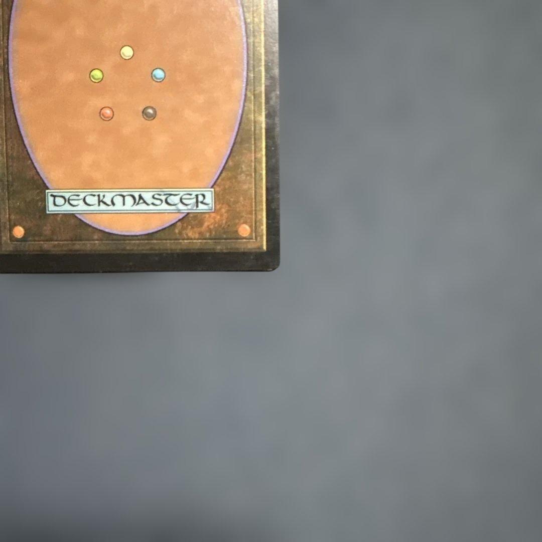 MTG シヴの浅瀬 日本語版4枚セット