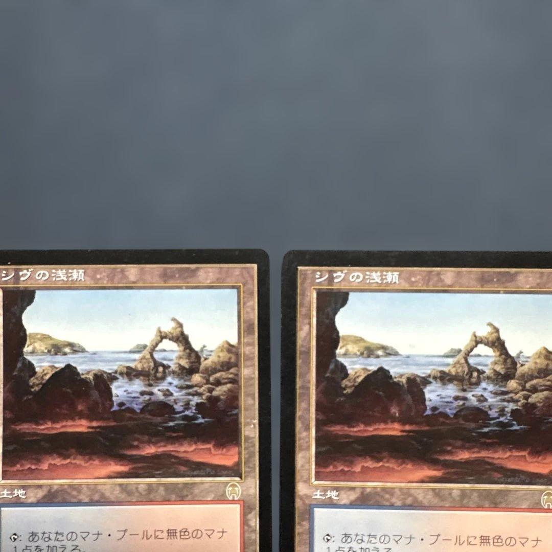 MTG シヴの浅瀬 日本語版4枚セット