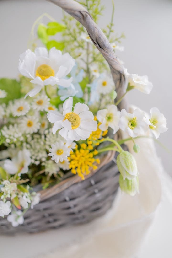 グリーンバスケット