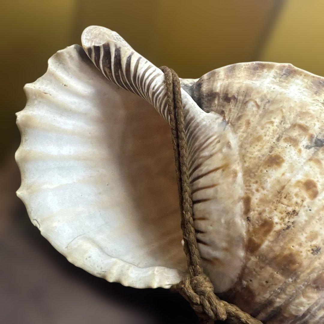 古民具 時代物 玉化 法螺 ほら貝 置物 縁起物 鑑賞石