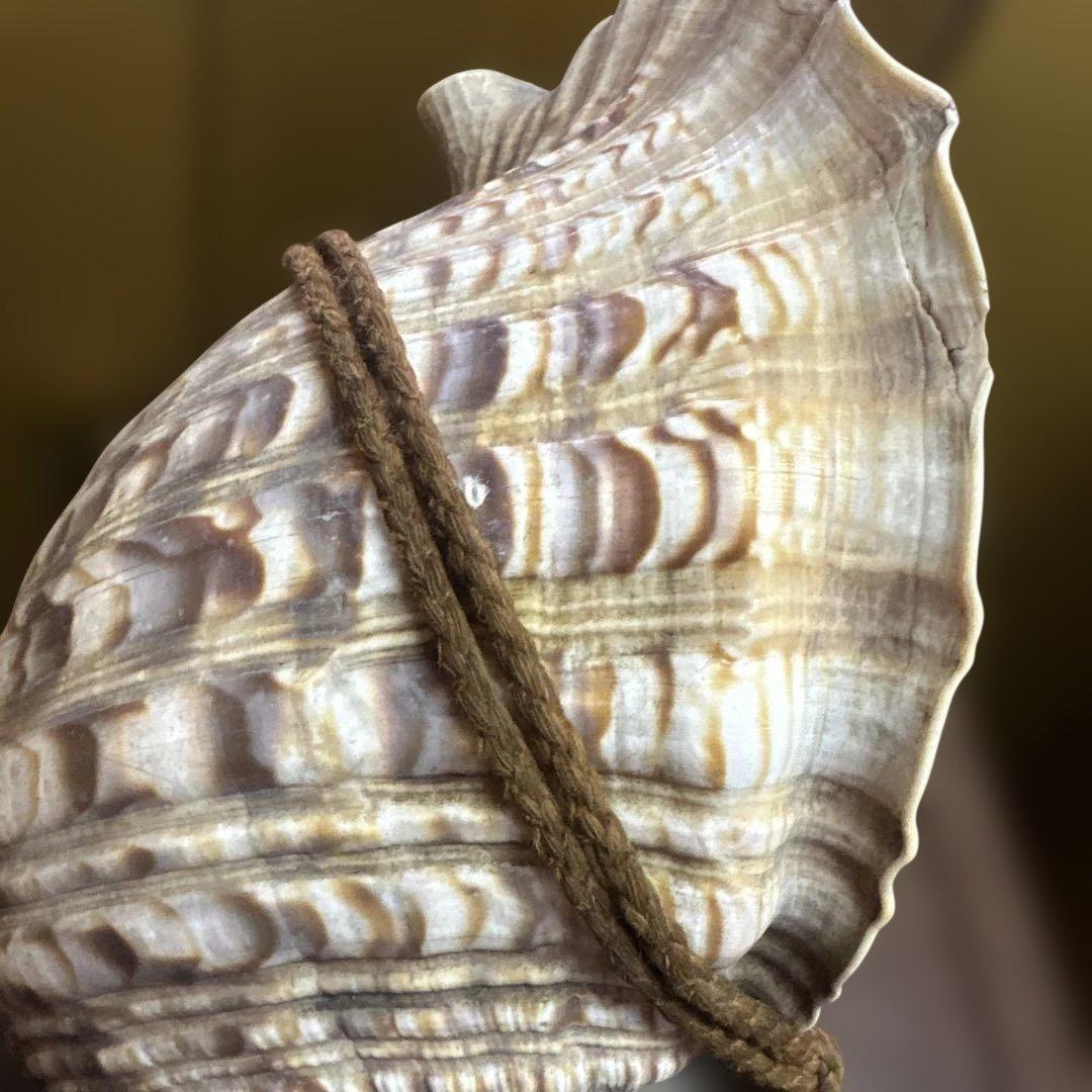 古民具 時代物 玉化 法螺 ほら貝 置物 縁起物 鑑賞石