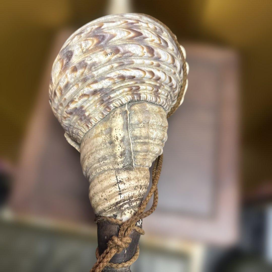 古民具 時代物 玉化 法螺 ほら貝 置物 縁起物 鑑賞石