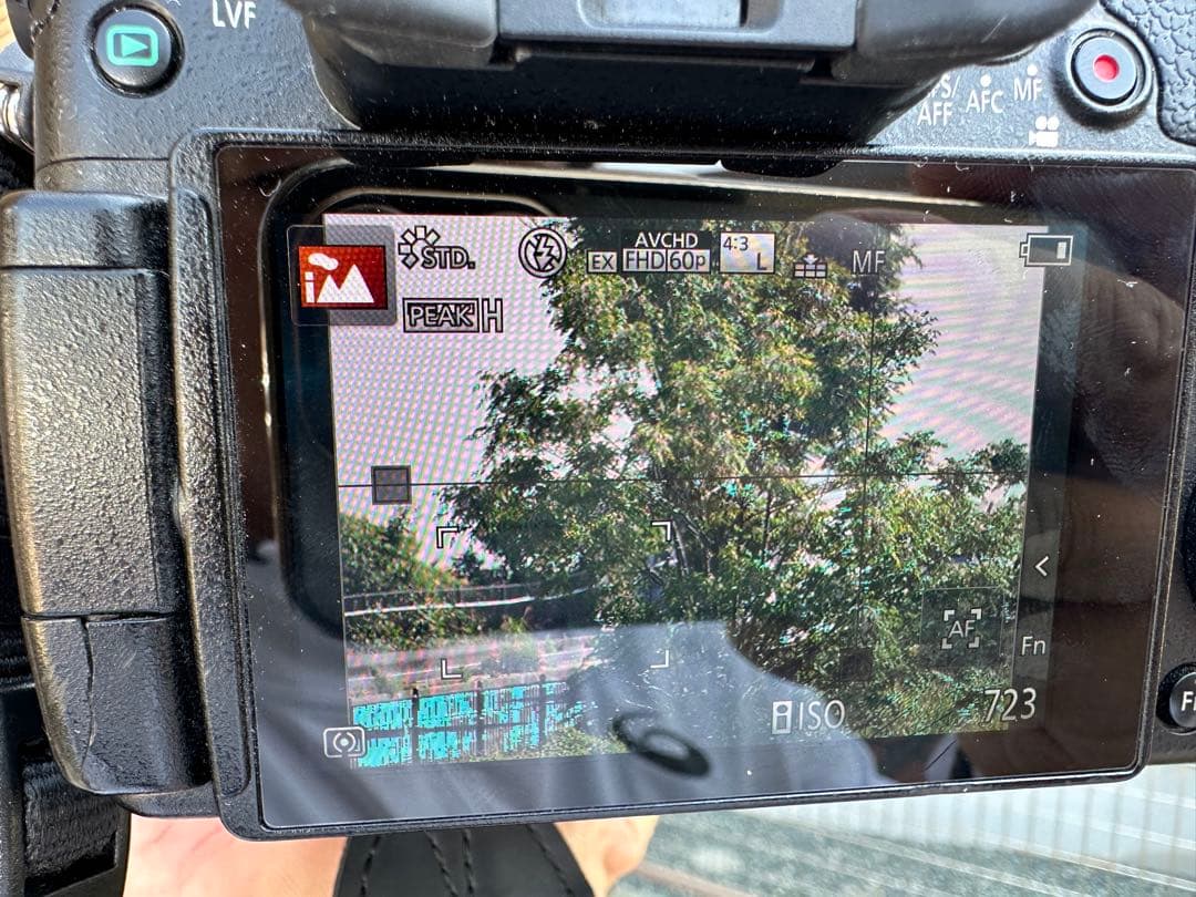 LEICA DG VARIO-ELMAR パナソニック　H-RS100400